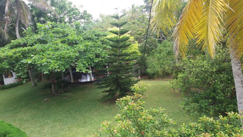 4 Seasons Guesthouse Hikkaduwa Exterior foto